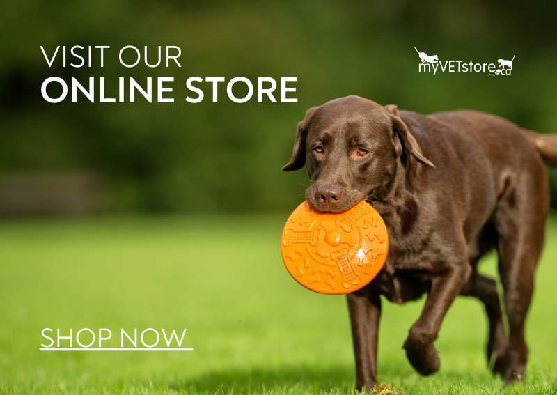 Carousel Slide 2: Shop Our Online Store!