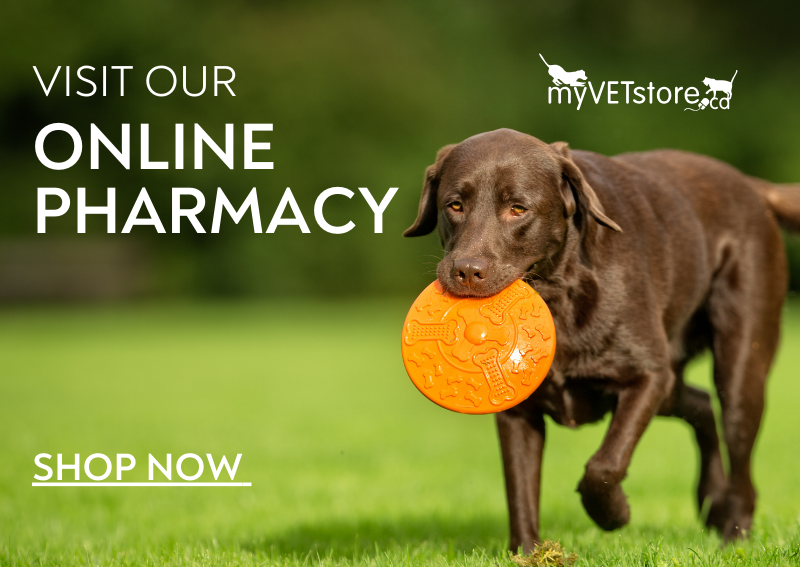 Carousel Slide 2: Shop Our Online Pharmacy!